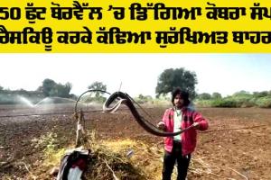 Cobra Snake: ਬੈਤੂਲ ‘ਚ 150 ਫੁੱਟ ਡੂੰਘੇ ਬੋਰਵੈੱਲ ‘ਚ ਡਿੱਗਿਆ ਕੋਬਰਾ ਸੱਪ, ਰੈਸਕਿਊ ਕਰਕੇ ਇੰਜ ਬਚਾਇਆ
