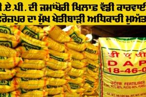Agriculture Officials Suspended: ਡੀ.ਏ.ਪੀ. ਦੀ ਜਮਾਂਖੋਰੀ ਖ਼ਿਲਾਫ਼ ਵੱਡੀ ਕਾਰਵਾਈ, ਫਿਰੋਜ਼ਪੁਰ ਦਾ ਮੁੱਖ ਖੇਤੀਬਾੜੀ ਅਧਿਕਾਰੀ ਮੁਅੱਤਲ