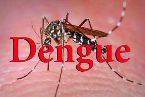 Dengue: ਡੇਂਗੂ ’ਤੇ ਨਵੇਂ ਖੁਲਾਸੇ ਚਿੰਤਾਜਨਕ