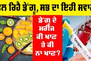 Health Tips: Dengue ਦੇ ਮਰੀਜ਼ ਕੀ ਖਾਣ ਤੇ ਕੀ ਨਾ ਖਾਣ…