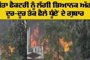 ਗੱਤਾ ਫੈਕਟਰੀ ਨੂੰ ਲੱਗੀ ਅੱਗ, ਨੇੜੇ ਗੈਸ ਏਜੰਸੀ ਹੋਣ ਕਾਰਨ ਸਹਿਮ ਦਾ ਮਾਹੌਲ