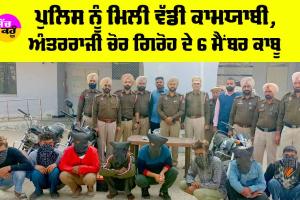 Punjab News: ਪੁਲਿਸ ਨੂੰ ਮਿਲੀ ਵੱਡੀ ਕਾਮਯਾਬੀ, ਅੰਤਰਰਾਜੀ ਚੋਰ ਗਿਰੋਹ ਦੇ 6 ਮੈਂਬਰ ਕਾਬੂ