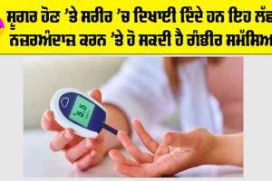 Diabetes Symptoms: ਸ਼ੂਗਰ ਹੋਣ ’ਤੇ ਸਰੀਰ ’ਚ ਦਿਖਾਈ ਦਿੰਦੇ ਹਨ ਇਹ ਲੱਛਣ, ਨਜ਼ਰਅੰਦਾਜ਼ ਕਰਨ ’ਤੇ ਹੋ ਸਕਦੀ ਹੈ ਗੰਭੀਰ ਸਮੱਸਿਆ…