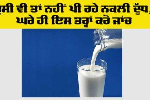 How to Check Fake Milk: ਤੁਸੀਂ ਵੀ ਤਾਂ ਨਹੀਂ ਪੀ ਰਹੇ ਨਕਲੀ ਦੁੱਧ, ਘਰੇ ਹੀ ਇਸ ਤਰ੍ਹਾਂ ਚੈੱਕ ਕਰੋ ਜਾਂਚ