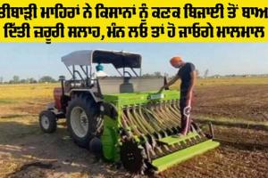 Kisan News: ਪੰਜਾਬੀ ਖੇਤੀਬਾੜੀ ਯੂਨੀਵਰਸਿਟੀ ਲੁਧਿਆਣਾ ਦੇ ਮਾਹਿਰਾਂ ਨੇ ਕਿਸਾਨਾਂ ਨੂੰ ਕਣਕ ਦੀ ਪਿਛੇਤੀ ਬਿਜਾਈ ਤੋਂ ਲਾਭ ਲੈਣ ਦੇ ਦੱਸੇ ਨੁਕਤੇ