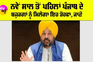 Punjab News: ਨਵੇਂ ਸਾਲ ਤੋਂ ਪਹਿਲਾਂ ਪੰਜਾਬ ਦੇ ਬਜ਼ੁਰਗਾਂ ਨੂੰ ਮਿਲੇਗਾ ਇਹ ਤੋਹਫਾ, ਜਾਣੋ