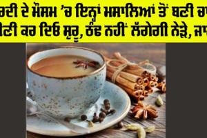 Tea Benefits: ਇਨ੍ਹਾਂ ਮਸਾਲਿਆਂ ਤੋਂ ਬਣੀ ਚਾਹ ਦੇ ਹਨ ਬਹੁਤ ਸਾਰੇ ਫਾਇਦੇ, ਜਾਣੋ ਕੇ ਹੋ ਜਾਓਗੇ ਹੈਰਾਨ
