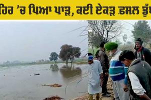 Abohar Canal: ਨਹਿਰ ’ਚ ਪਿਆ ਪਾੜ, ਕਈ ਏਕੜ ਕਣਕ ਦੀ ਫ਼ਸਲ ਡੁੱਬੀ