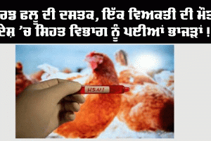 ਬਰਡ ਫਲੂ ਦੀ ਦਸਤਕ, ਇੱਕ ਵਿਅਕਤੀ ਦੀ ਮੌਤ