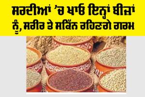 Health News: ਸਰਦੀਆਂ ’ਚ ਖਾਓ ਇਨ੍ਹਾਂ ਬੀਜ਼ਾਂ ਨੂੰ, ਸਰੀਰ ਤੇ ਸਕਿੱਨ ਰਹਿਣਗੇ ਗਰਮ
