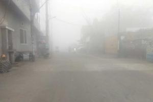 Punjab Weather News: ਲੋਹੜੀ ਤੋਂ ਬਾਅਦ ਆਈ ਧੁੰਦ ਤੇ ਸੀਤ ਲਹਿਰ ਨੇ ਲੋਕਾਂ ਨੂੰ ਚਾੜਿਆ ਕਾਂਬਾ