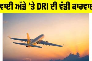 ਹਵਾਈ ਅੱਡੇ ’ਤੇ DRI ਦੀ ਵੱਡੀ ਕਾਰਵਾਈ, ਜਾਣੋ ਪੂਰਾ ਮਾਮਲਾ