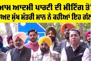 AAP Meeting: ਦਿੱਲੀ ‘ਚ ਆਪ ਦੀ ਮੀਟਿੰਗ ਸਮਾਪਤ, ਮੁੱਖ ਮੰਤਰੀ ਮਾਨ ਨੇ ਕਹੀਆਂ ਇਹ ਵੱਡੀਆਂ ਗੱਲਾਂ