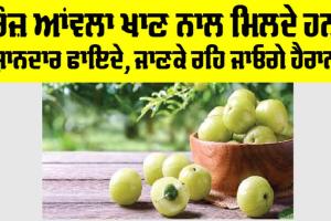 Amla Benefits: ਰੋਜ਼ ਆਂਵਲਾ ਖਾਣ ਨਾਲ ਮਿਲਦੇ ਹਨ 4 ਸ਼ਾਨਦਾਰ ਫਾਇਦੇ, ਜਾਣ ਕੇ ਰਹਿ ਜਾਓਗੇ ਹੈਰਾਨ