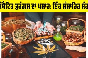 Synthetic Drugs: ਸਿੰਥੈਟਿਕ ਡਰੱਗਸ ਦਾ ਪਸਾਰ, ਇੱਕ ਸੰਸਾਰਿਕ ਸੰਕਟ