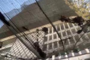 Mumbai News: ਮੁੰਬਈ ’ਚ ਪਾਣੀ ਦੀ ਟੈਂਕੀ ਦੀ ਸਫਾਈ ਕਰਦੇ ਸਮੇਂ ਦਮ ਘੁੱਟਣ ਕਾਰਨ ਚਾਰ ਮਜ਼ਦੂਰਾਂ ਦੀ ਮੌਤ, ਇੱਕ ਦੀ ਹਾਲਤ ਗੰਭੀਰ