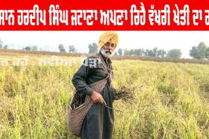 Punjab Farmer News: ਡਬਲ ਐੱਮਏ ਕਿਸਾਨ ਦੇ ਖੇਤ ਲਹਿਰਾਉਂਦੀਆਂ ਵਿਰਾਸਤੀ ਫ਼ਸਲਾਂ