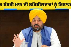 Punjab Tehsildar News: ਮੁੱਖ ਮੰਤਰੀ ਮਾਨ ਦੀ ਤਹਿਸੀਲਦਾਰਾਂ ਨੂੰ ਦਿੱਤੀ ਚਿਤਾਵਨੀ