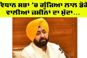 Punjab Vidhan Sabha: ਵਿਧਾਨ ਸਭਾ ‘ਚ ਉੱਠਿਆ ਲਾਲ ਲਕੀਰ ਦੇ ਅੰਦਰ ਆਉਣ ਵਾਲੀਆਂ ਜਾਇਦਾਦਾਂ ਦਾ ਮੁੱਦਾ