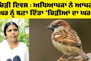 Sparrow Day: ਅਧਿਆਪਕਾ ਨੇ ਆਪਣੇ ਘਰ ਨੂੰ ਬਣਾ ਦਿੱਤਾ ‘ਚਿੜੀਆਂ ਦਾ ਘਰ’