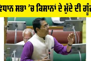 Vidhan Sabha Session Punjab: ਪਰਾਲੀ ਦੇ ਮੁੱਦੇ ’ਤੇ ਵਿਧਾਨ ਸਭਾ ’ਚ ਹੋਈ ਚਰਚਾ, ਪੜ੍ਹੋ ਮੰਤਰੀ ਨੇ ਕੀ ਕਿਹਾ…