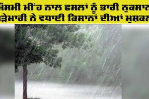 Weather Update: ਤੇਲੰਗਾਨਾ ’ਚ ਬੇਮੌਸਮੀ ਮੀਂਹ ਨਾਲ ਫਸਲਾਂ ਨੂੰ ਭਾਰੀ ਨੁਕਸਾਨ, ਗੜੇਮਾਰੀ ਨੇ ਵਧਾਈ ਕਿਸਾਨਾਂ ਦੀਆਂ ਮੁਸ਼ਕਲਾਂ 