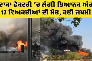 Gujarat Fire News: ਪਟਾਕਾ ਫੈਕਟਰੀ ’ਚ ਲੱਗੀ ਭਿਆਨਕ ਅੱਗ, 17 ਲੋਕਾਂ ਦੀ ਮੌਤ, ਕਈ ਜ਼ਖਮੀ