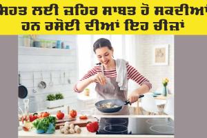 kitchen Items: ਸਿਹਤ ਲਈ ਜ਼ਹਿਰ ਸਾਬਤ ਹੋ ਸਕਦੀਆਂ ਹਨ ਰਸੋਈ ਦੀਆਂ ਇਹ ਚੀਜ਼ਾਂ