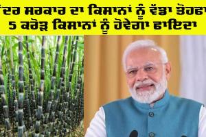 Farmers News: ਕੇਂਦਰ ਸਰਕਾਰ ਨੇ ਕਿਸਾਨਾਂ ਨੂੰ ਦਿੱਤਾ ਵੱਡਾ ਤੋਹਫਾ, 5 ਕਰੋੜ ਕਿਸਾਨਾਂ ਨੂੰ ਹੋਵੇਗਾ ਫਾਇਦਾ