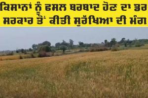 LoC: ਕੰਟਰੋਲ ਰੇਖਾ ‘ਤੇ ਤਣਾਅ ਕਾਰਨ ਦਹਿਸ਼ਤ ਦਾ ਮਾਹੌਲ, ਕਿਸਾਨਾਂ ਨੂੰ ਫਸਲਾਂ ਬਰਬਾਦ ਹੋਣ ਦਾ ਡਰ