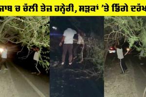 Storm In Punjab: ਤੇਜ਼ ਝੱਖੜ ਕਾਰਨ ਡਿੱਗੇ ਦਰੱਖਤ, ਸੇਵਾਦਾਰਾਂ ਨੇ ਰੋਡ ਤੋਂ ਹਟਾਇਆ