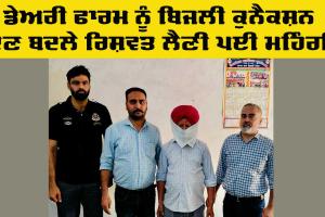 Vigilance Bureau Punjab: ਡੇਅਰੀ ਫਾਰਮ ਨੂੰ ਬਿਜਲੀ ਕੁਨੈਕਸ਼ਨ ਦੇਣ ਬਦਲੇ ਰਿਸ਼ਵਤ ਲੈਣੀ ਪਈ ਮਹਿੰਗੀ