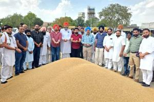 Wheat Procurement: ਕਿਸਾਨਾਂ ਦੀ ਪੁੱਤਾਂ ਵਾਂਗ ਪਾਲੀ ਫਸਲ ਦਾ ਦਾਣਾ-ਦਾਣਾ ਖਰੀਦਿਆ ਜਾਵੇਗਾ : ਵਿਧਾਇਕ ਦੇਵ ਮਾਨ