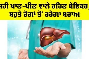 World Liver Day ’ਤੇ ਵਿਸ਼ੇਸ਼: ਪ੍ਰੋਸੈਸਡ ਭੋਜਨ ਨਾਲ 16 ਫੀਸਦੀ ਤੱਕ ਵਧਦਾ ਹੈ ਲੀਵਰ ਰੋਗ ਦਾ ਖਤਰਾ