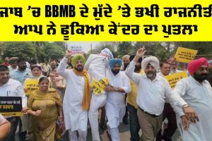 BBMB ਦੇ ਮੁੱਦੇ ’ਤੇ ਰਾਜਨੀਤੀ ਭਖੀ, ਆਪ ਦੇ ਵਿਧਾਇਕਾਂ ਨੇ ਕੈਪਟਨ ਅਮਰਿੰਦਰ ਸਿੰਘ ਦੇ ਘਰ ਨੇੜੇ ਸਾੜਿਆਂ ਕੇਂਦਰ ਸਰਕਾਰ ਦਾ ਪੁਤਲਾ