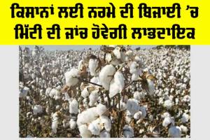 Farmers News: ਕਿਸਾਨਾਂ ਲਈ ਨਰਮੇ ਦੀ ਬਿਜਾਈ ’ਚ ਮਿੱਟੀ ਦੀ ਜਾਂਚ ਹੋਵੇਗੀ ਲਾਭਦਾਇਕ