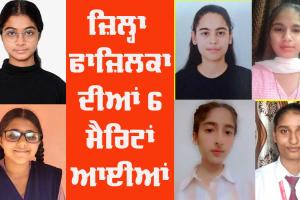 Fazilka District Results: ਜ਼ਿਲ੍ਹਾ ਫ਼ਾਜ਼ਿਲਕਾ ਦਾ ਬਾਰਵ੍ਹੀ ਬੋਰਡ ਪ੍ਰੀਖਿਆ ਦਾ ਨਤੀਜਾ ਰਿਹਾ ਸ਼ਾਨਦਾਰ, 6 ਵਿਦਿਆਰਥਣਾਂ ਮੈਰਿਟ ’ਚ
