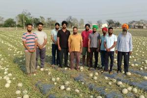 Hailstorm Punjab: ਗੜ੍ਹੇਮਾਰੀ ਨਾਲ ਖਰਬੂਜ਼ੇ, ਤਰਬੂਜ਼ ਅਤੇ ਸਬਜ਼ੀਆਂ ਦੀਆਂ ਫਸਲਾਂ ਤਬਾਹ