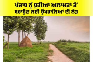Punjab: ਪੰਜਾਬ ਨੂੰ ਬੁਰੀਆਂ ਅਲਾਮਤਾਂ ਤੋਂ ਬਚਾਉਣ ਲਈ ਉਪਰਾਲਿਆਂ ਦੀ ਲੋੜ