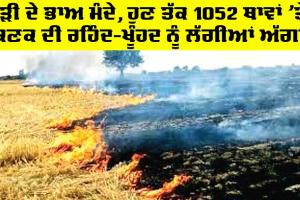 Punjab Farmers News: ਤੂੜੀ ਦੇ ਭਾਅ ਮੰਦੇ, ਹੁਣ ਤੱਕ 1052 ਥਾਵਾਂ ’ਤੇ ਕਣਕ ਦੀ ਰਹਿੰਦ-ਖੂੰਹਦ ਨੂੰ ਲੱਗੀਆਂ ਅੱਗਾਂ