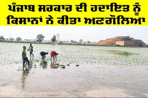 Punjab Government News: ਪੰਜਾਬ ਸਰਕਾਰ ਦੀ ਹਦਾਇਤ ਨੂੰ ਕਿਸਾਨਾਂ ਨੇ ਕੀਤਾ ਅਣਗੌਲਿਆ
