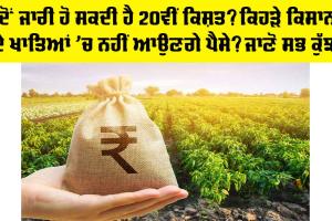 PM Kisan Yojana: ਕਦੋਂ ਜਾਰੀ ਹੋ ਸਕਦੀ ਹੈ 20ਵੀਂ ਕਿਸ਼ਤ? ਕਿਹੜੇ ਕਿਸਾਨਾਂ ਦੇ ਖਾਤਿਆਂ ’ਚ ਨਹੀਂ ਆਉਣਗੇ ਪੈਸੇ? ਜਾਣੋ ਸਭ ਕੁੱਝ
