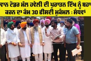 Punjab Heritage Restoration : ਦੀਵਾਨ ਟੋਡਰ ਮੱਲ ਹਵੇਲੀ ਦੀ ਪੁਰਾਤਨ ਦਿੱਖ ਨੂੰ ਬਹਾਲ ਕਰਨ ਦਾ ਕੰਮ 30 ਫੀਸਦੀ ਮੁਕੰਮਲ : ਸੰਧਵਾਂ