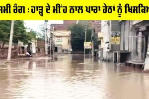 Rain: ਹਾੜ੍ਹ ਦੇ ਮੀਂਹ ਨਾਲ ਪਾਰਾ ਹੇਠਾਂ ਨੂੰ ਖਿਸਕਿਆ