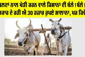 Government News: ਹੁਣ ਬਲਦਾਂ ਨਾਲ ਖੇਤੀ ਕਰਨ ਵਾਲੇ ਕਿਸਾਨਾਂ ਨੂੰ ਸਰਕਾਰ ਦੇਵੇਗੀ 30 ਹਜ਼ਾਰ ਰੁਪਏ ਸਾਲਾਨਾ!, ਕਿਵੇਂ ਕਰਨਾ ਹੈ ਅਪਲਾਈ, ਜਾਣੋ ਪੂਰੀ ਪ੍ਰਕਿਰਿਆ