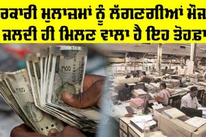 Government Employee: ਸਰਕਾਰੀ ਮੁਲਾਜ਼ਮਾਂ ਨੂੰ ਲੱਗਣਗੀਆਂ ਮੌਜਾਂ, ਜਲਦੀ ਹੀ ਮਿਲਣ ਵਾਲਾ ਹੈ ਇਹ ਤੋਹਫ਼ਾ