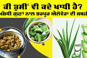 Aloe Vera Vegetable: ਕੀ ਤੁਸੀਂ ਕਦੇ ਖਾਧੀ ਹੈ? ਔਸ਼ਧੀ ਗੁਣਾਂ ਨਾਲ ਭਰਪੂਰ ਐਲੋਵੇਰਾ ਦੀ ਸਬਜ਼ੀ