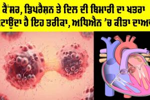 Cancer Treatment: ਕੈਂਸਰ, ਡਿਪਰੈਸ਼ਨ ਤੇ ਦਿਲ ਦੀ ਬਿਮਾਰੀ ਦਾ ਖ਼ਤਰਾ ਘਟਾਉਂਦਾ ਹੈ ਇਹ ਤਰੀਕਾ, ਅਧਿਐਨ ’ਚ ਕੀਤਾ ਦਾਅਵਾ