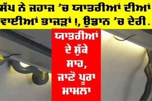 Plane: ਜਹਾਜ ’ਚ ਸੱਪ ਨੇ ਪਵਾਈਆਂ ਭਾਜੜਾਂ, ਯਾਤਰੀਆਂ ਦੇ ਸਾਹ ਸੁੱਕੇ!