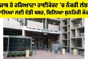 Job News: ਪੰਜਾਬ ਤੇ ਹਰਿਆਣਾ ਹਾਈਕੋਰਟ ’ਚ ਨੌਕਰੀ ਲੱਭਣ ਵਾਲਿਆਂ ਲਈ ਵੱਡੀ ਖਬਰ, ਮਿਲਿਆ ਸੁਨਹਿਰੀ ਮੌਕਾ